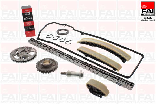 FAI AUTOPARTS pavaros grandinės komplektas TCK366